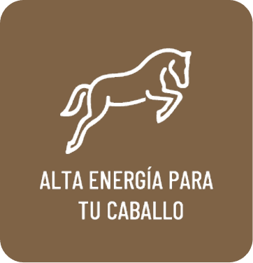 Alta energía para tu caballo