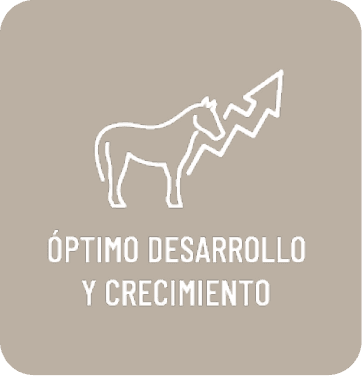 Óptimo desarrollo y crecimiento