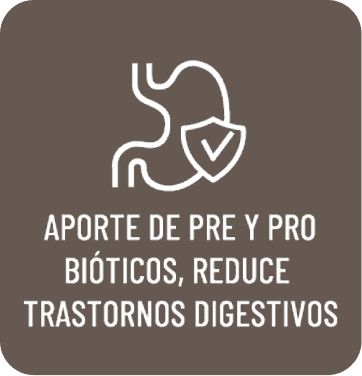 Aporte de pre y probióticos, reduce trastornos digestivos