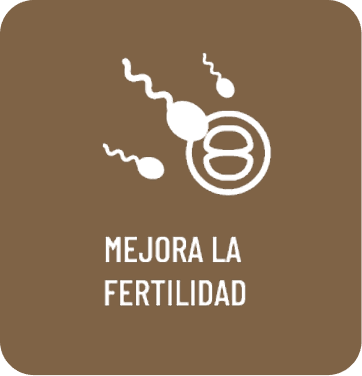 Mejora la fertilidad