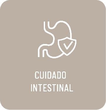 Cuidado intestinal