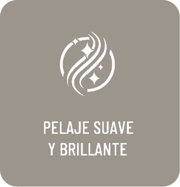 Pelaje suave y brillante