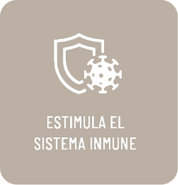 Estimula el sistema inmune