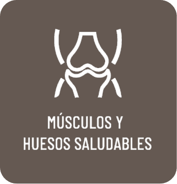 Músculos y huesos saludables