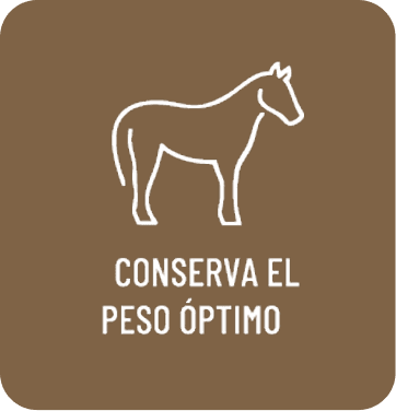 Conserva el peso óptimo