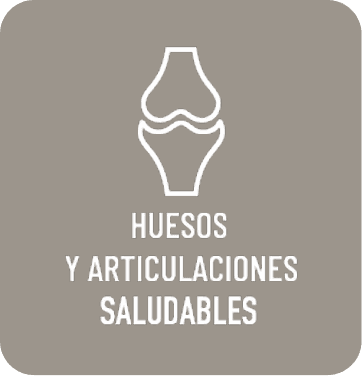 Huesos y articulaciones saludables
