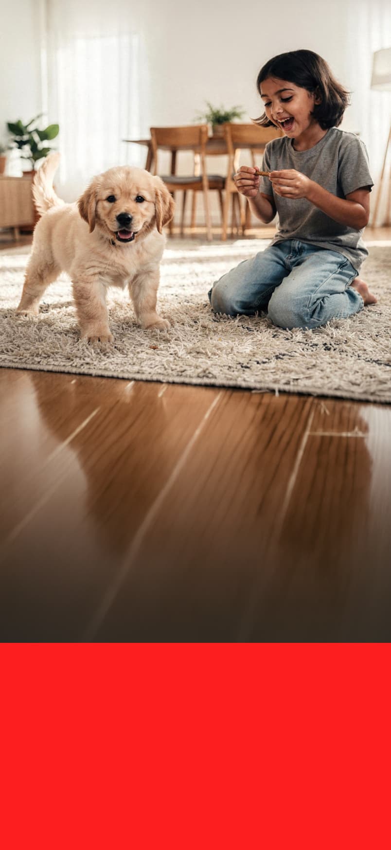 Pro-can - Nutrición para tu perro