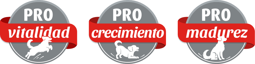 Pro-can: vitalidad, crecimiento y madurez