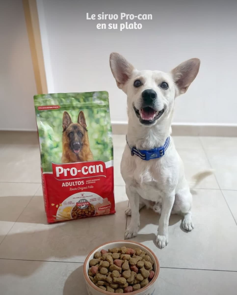Pro-can — contenido en Instagram Reel