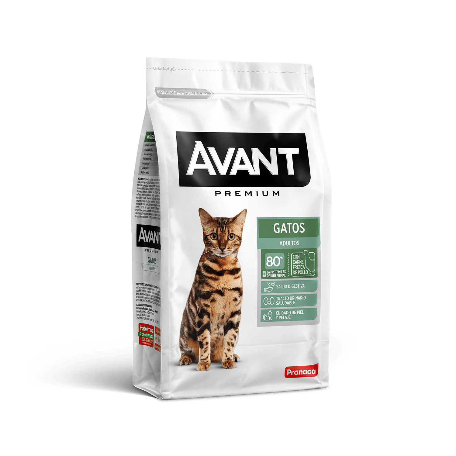 Avant Gatos