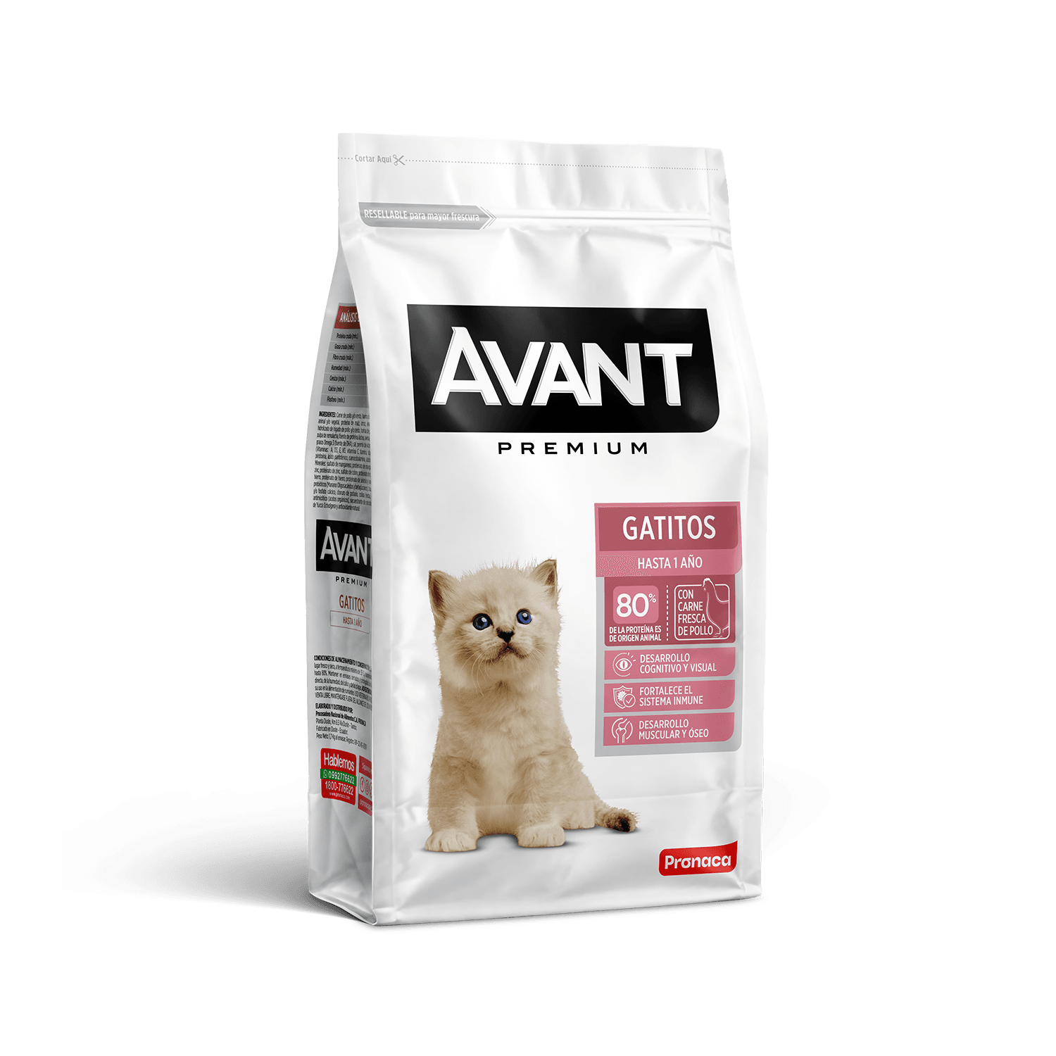 Avant Gatitos