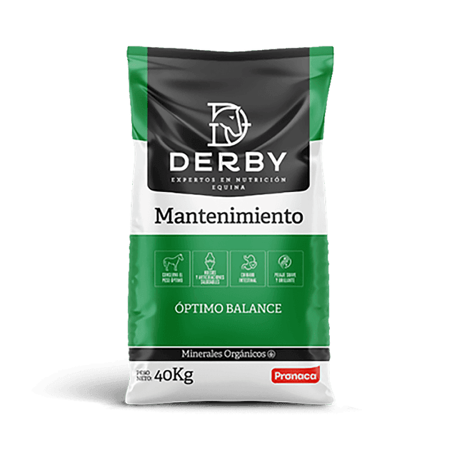 Derby Mantenimiento