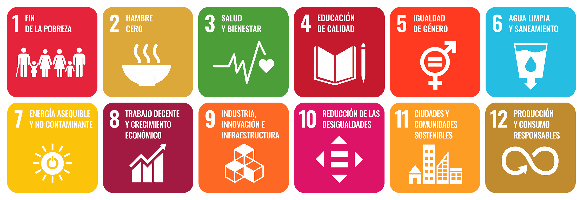 Objetivos de Desarrollo Sostenible (ODS) 1 al 12: fin de la pobreza, hambre cero, salud y bienestar, educación de calidad, igualdad de género, agua limpia y saneamiento, energía asequible y no contaminante, trabajo decente y crecimiento económico, industria innovación e infraestructura, reducción de las desigualdades, ciudades y comunidades sostenibles, producción y consumo responsables.